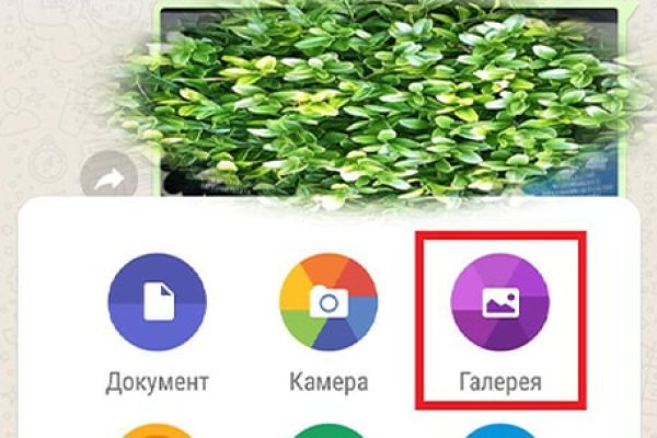 Кракен наркоплощадка