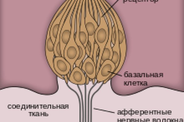 Kraken официальный сайт вход