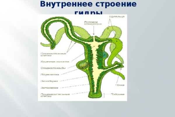 Кракен ссылка тор