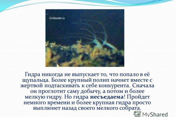 Запрещенный сайт кракен