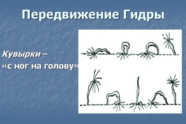 Kraken forum