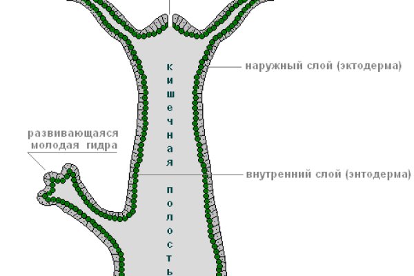 Вход в кракен чтобы купить меф