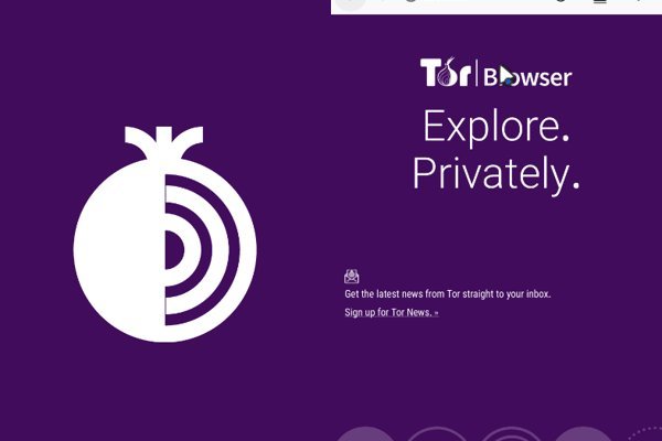 Как вывести деньги с kraken