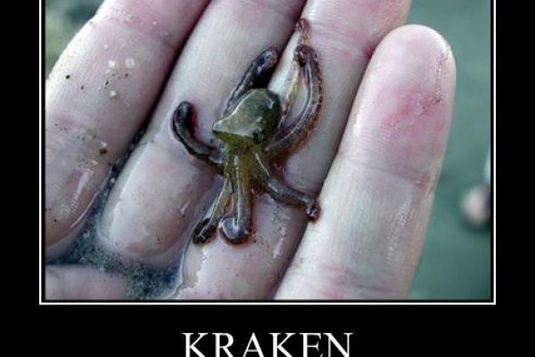 Kraken onion link