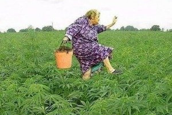 Кракен площадка kr2web in