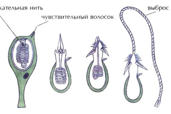 Сайт кракена в торе