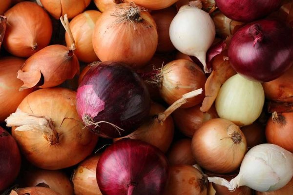 Даркнет маркет кракен onion